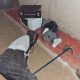thieves mysteriously fell asleep
