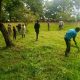 Christians Join Muslims To Clear Grass