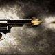 Two Land Guards Shot