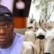 Sanwo-Olu Set To Establish 250-hectare Cattle Ranch