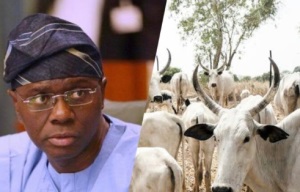 Sanwo-Olu Set To Establish 250-hectare Cattle Ranch