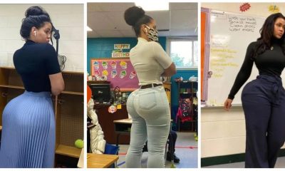 Seductive Curves