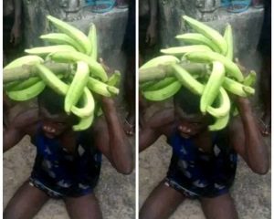 Plantain