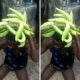 Plantain