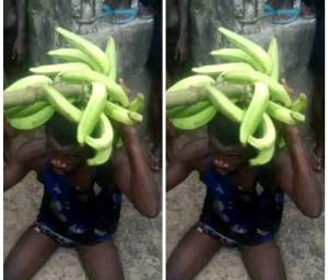 Plantain