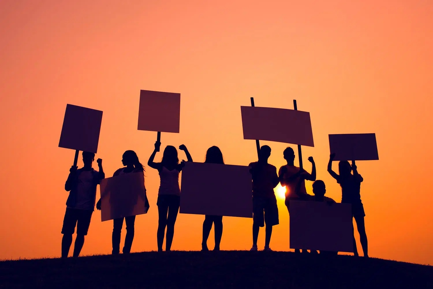 Activism