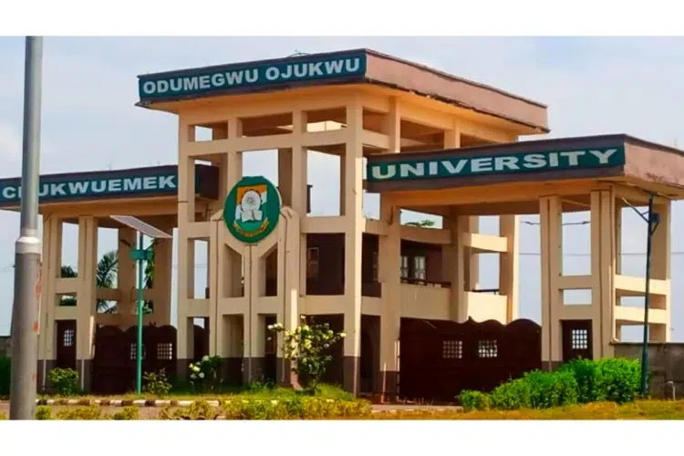 Chukwuemeka Odumegwu Ojukwu University