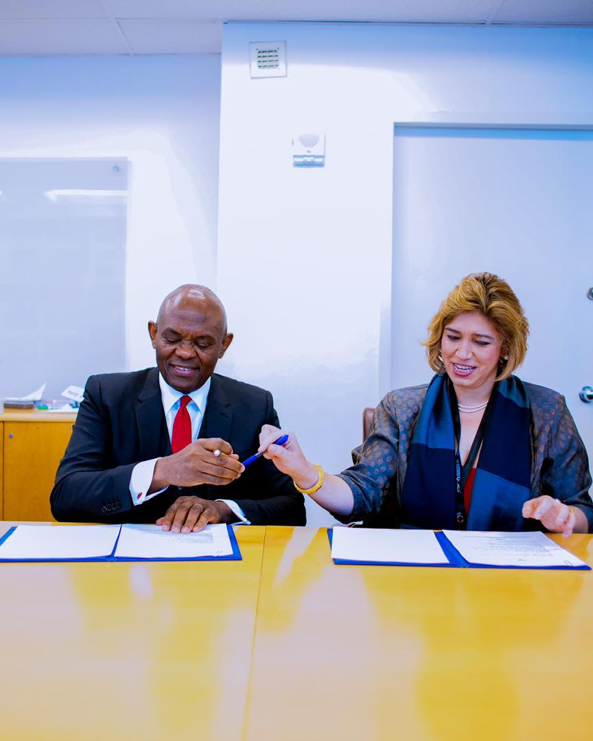 Tony Elumelu Foundation