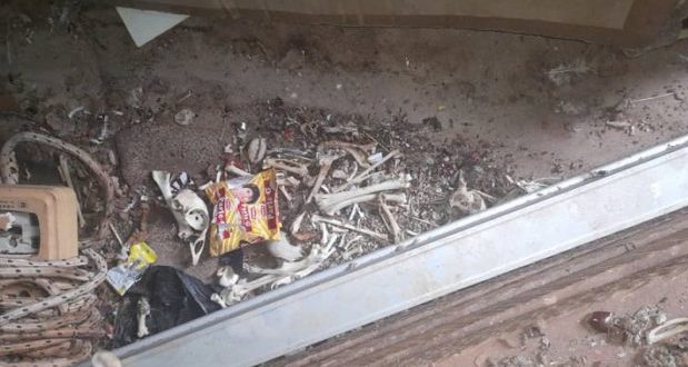 Man Arrested With Human Bones