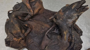 roasted antelopes from Ghana
