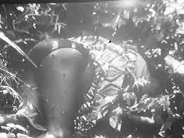 Pastor Beheads His Wife