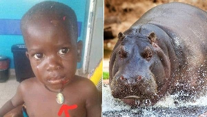 Hippopotamus Swallows Boy Alive