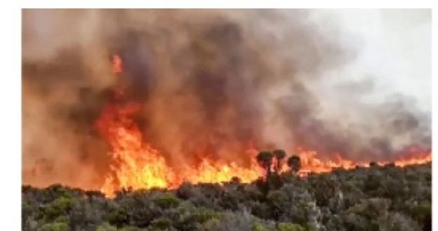 Man Perishes in Fire