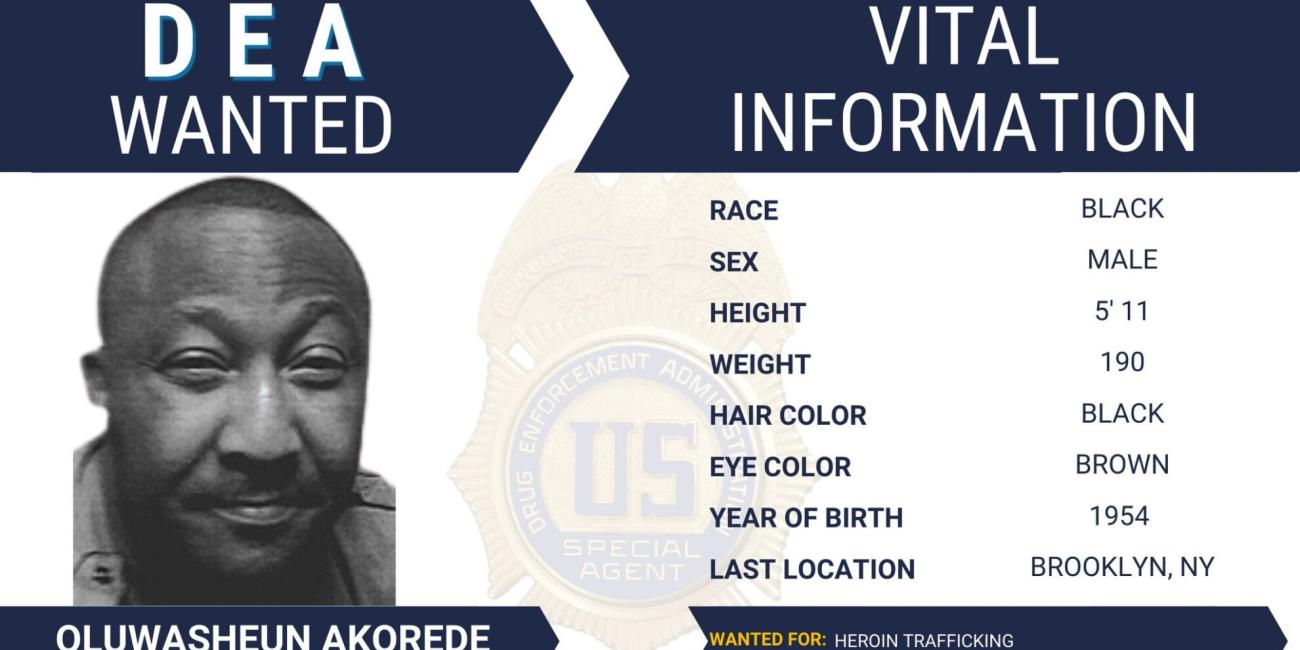U.S. Declares Nigerian American