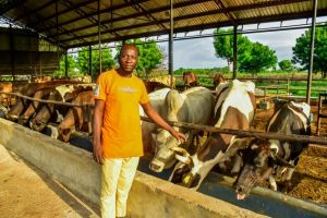 farm management