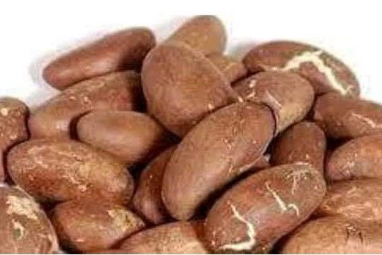 Bitter Kola