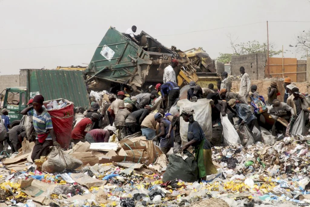 Scavengers Fuel Crimes