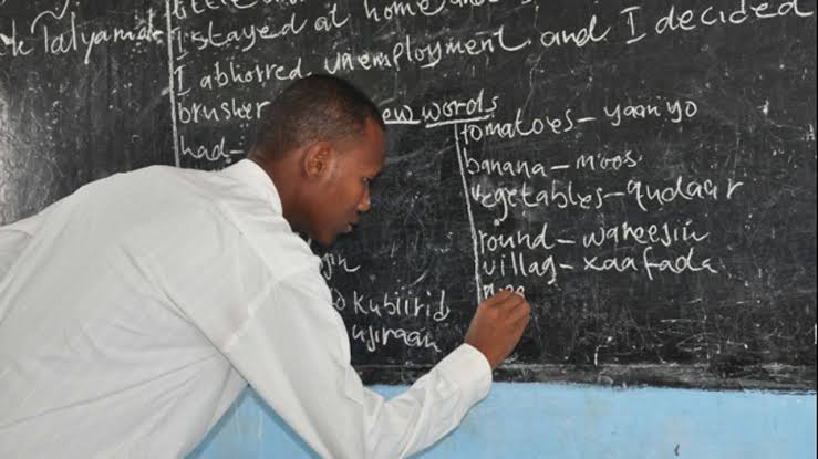 primary school teachers