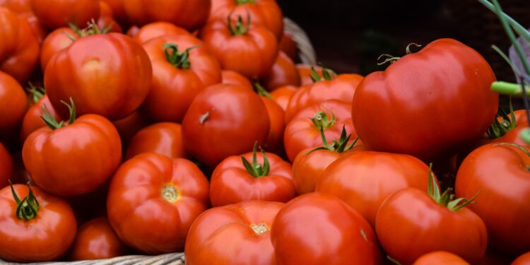 Tomatoes