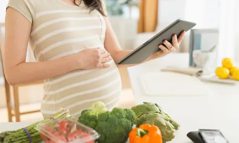 Get Pregnant With Twins Faster,