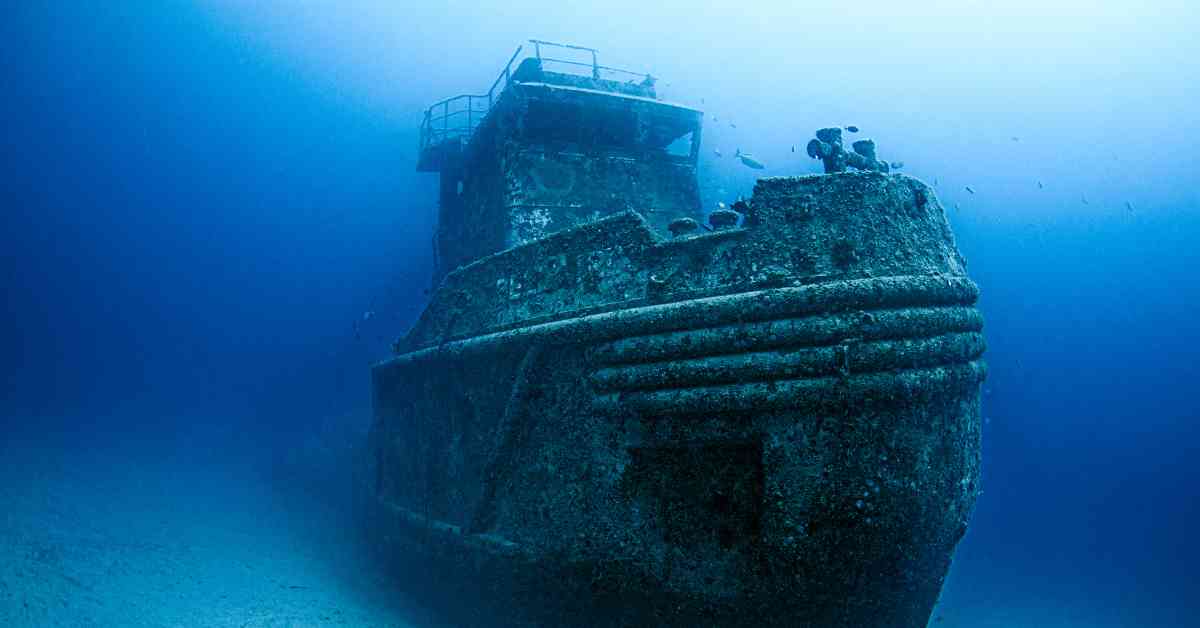 500-Year-Old Griffin Shipwreck