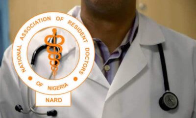 Resident Doctors