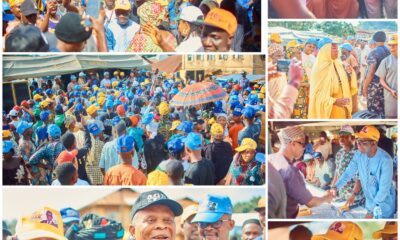 Mass Defection