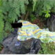 Hospital Abandoned Woman