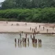 Uncontacted Amazon Tribe