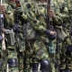 Nigerian Army
