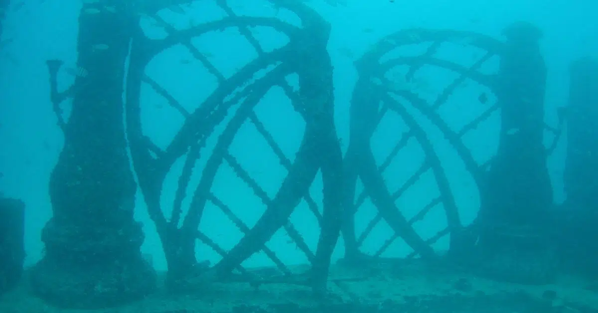 Neptune Memorial Reef
