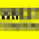 Amnesty