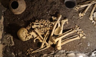Uncle’s Bones