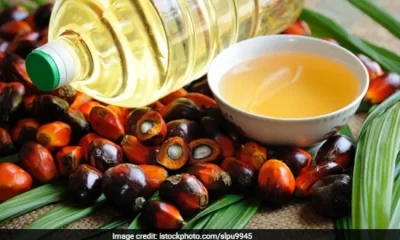 Palm oil