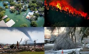 climate catastrophe.
