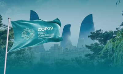COP29