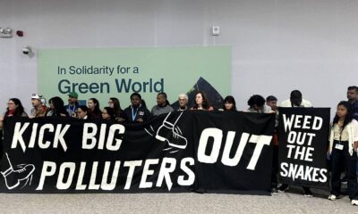 COP29