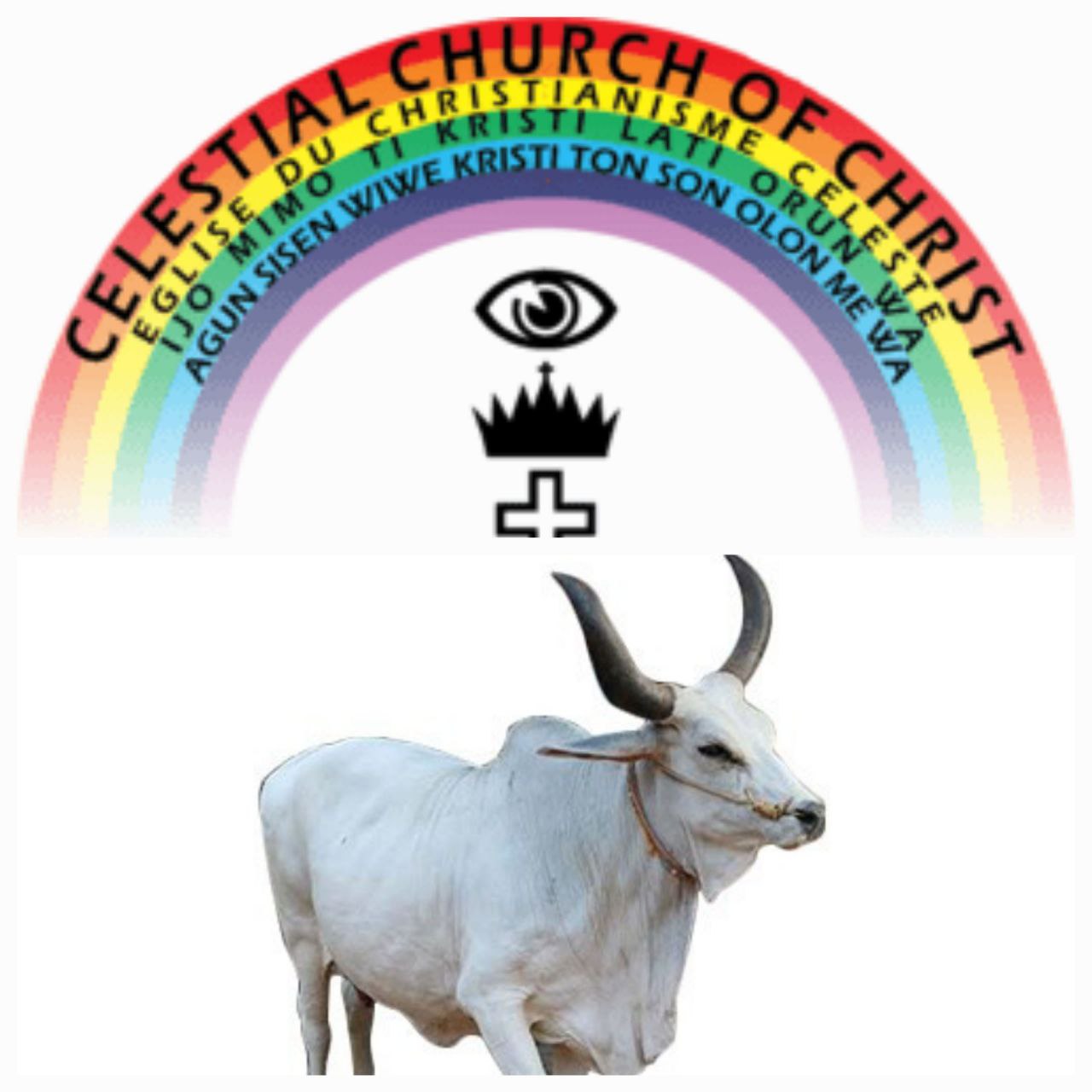 CCC Testimony Parish