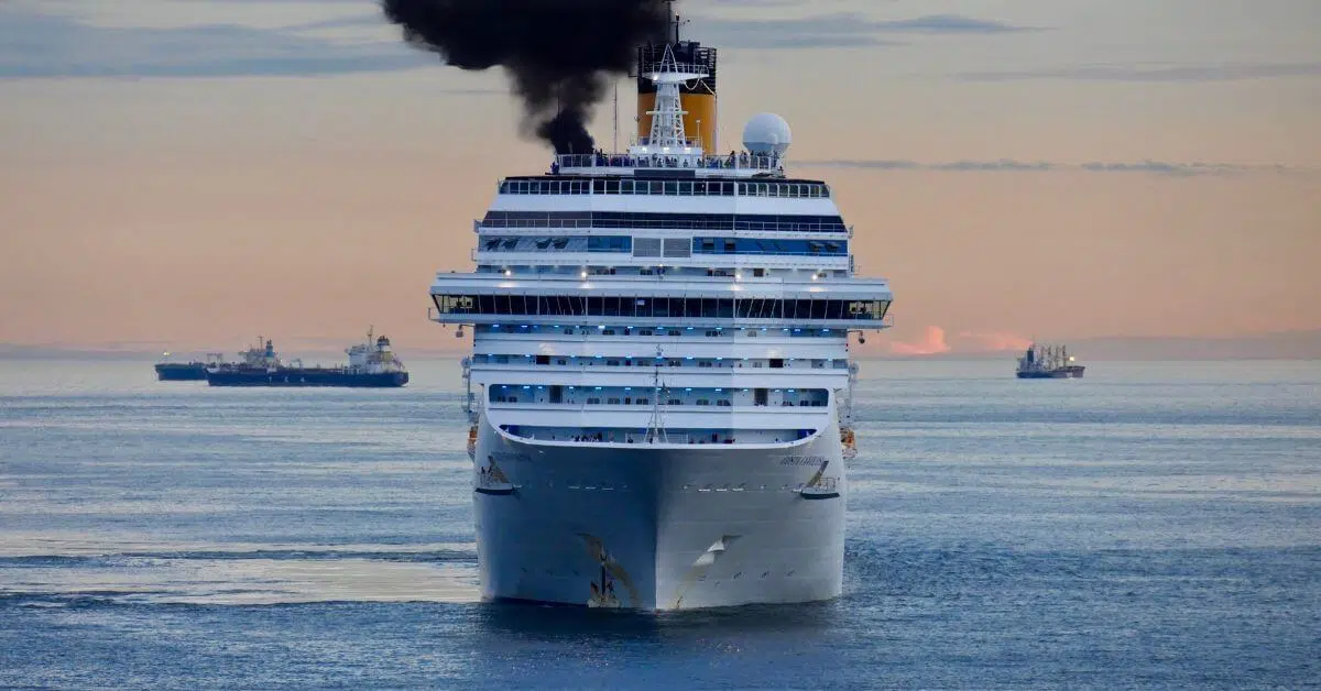 MSC Cruises