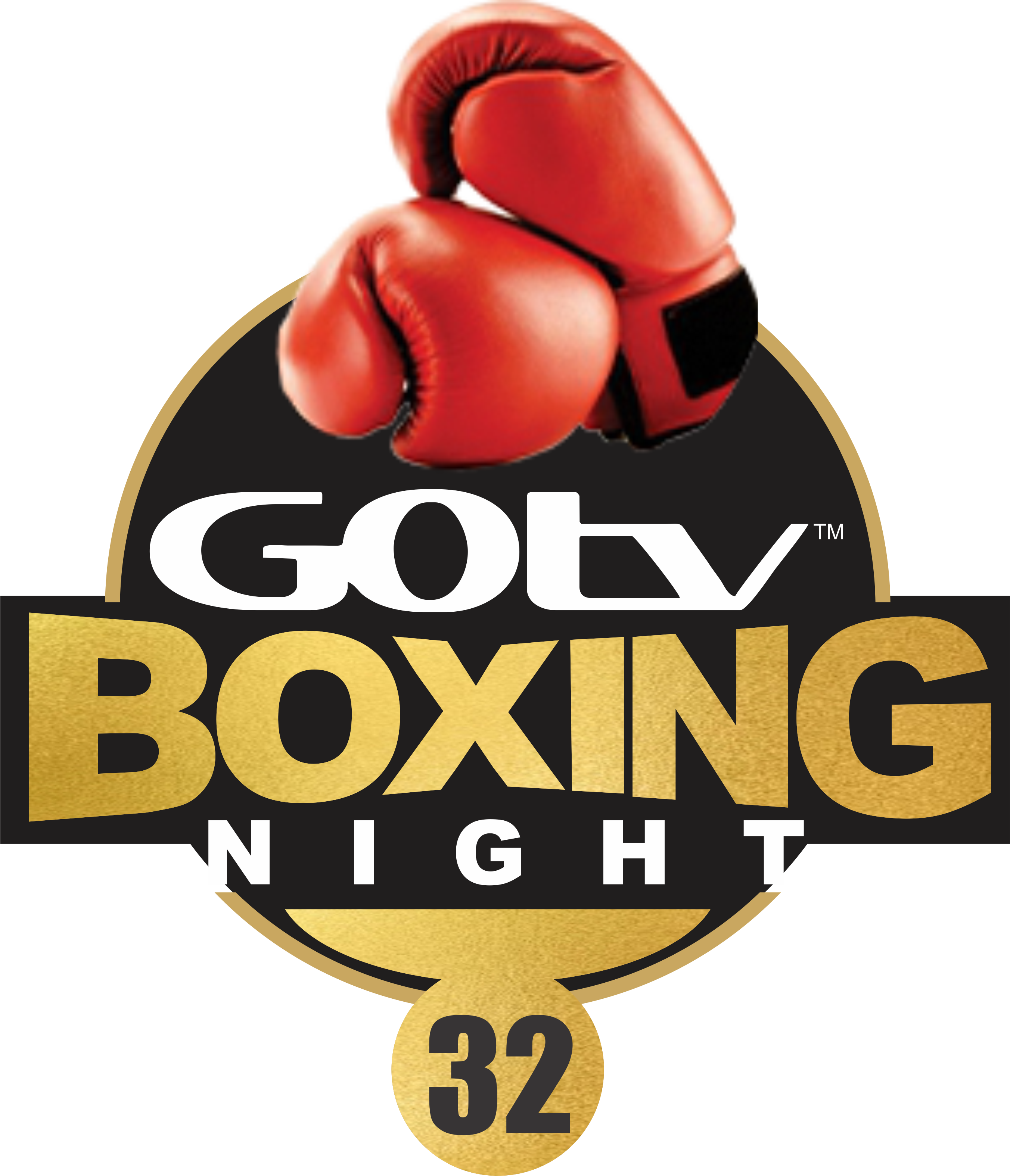 GOtv Boxing Night