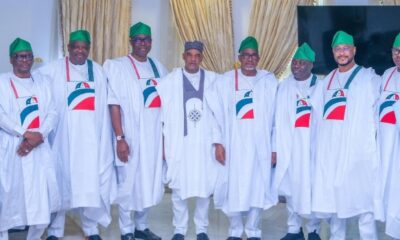 PDP Govs