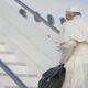 Pope Francis