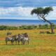 KENYA