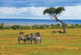 KENYA