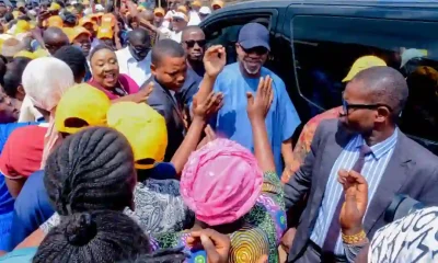 Ogun APC Leaders, Members Rally Behind Tinubu in Peaceful Statewide Exercise