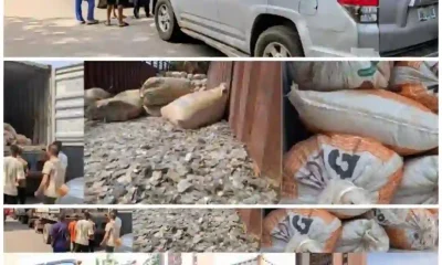 Court Orders Permanent Seizure of Illegal Mining Site, Trucks, Lithium Stones