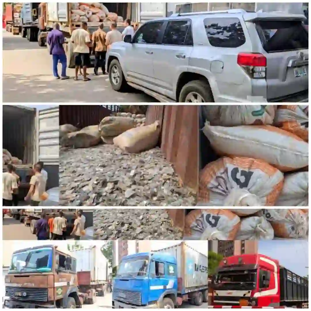 Court Orders Permanent Seizure of Illegal Mining Site, Trucks, Lithium Stones