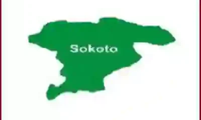 Meningitis Outbreak Claims 34 Lives in Sokoto, Over 250 Infected