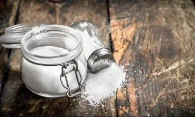 NHED, CAPPA, CCSI Push For Urgent Action On Excess Salt Consumption In Nigeria