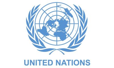 UN: Libya Arms Looted in 2011 Conflict Now in Hands of Extremist Groups in Nigeria